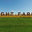 Light Farms