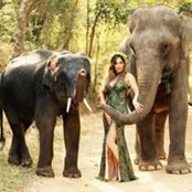 Jacqueline Bu's photo