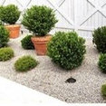 McKittrick Nurseries's profile photo