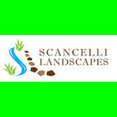 Scancelli Landscapes's profile photo