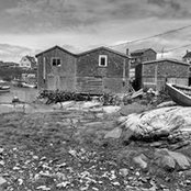 Sonya Bender's photo