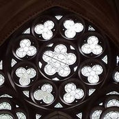 Cecelia Little's photo
