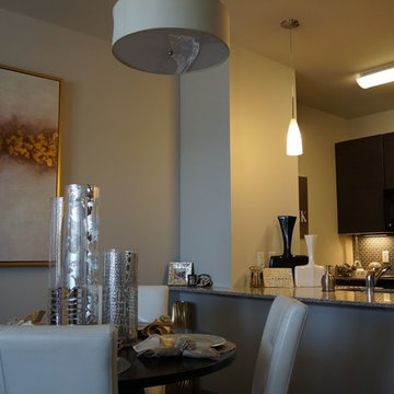 Interior Decor Dallas Apartment