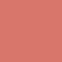 Coral Reef - Paint