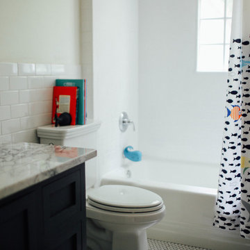 Collier Hills Renovation