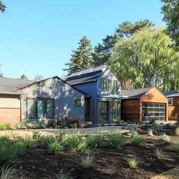 Juno St. Tiburon