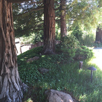 Redwood Garden & Lawn Replacement