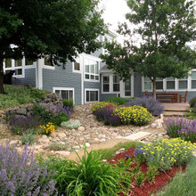 Xeriscape