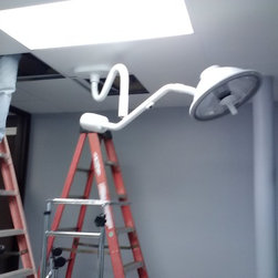Humane Alliance - Lighting
