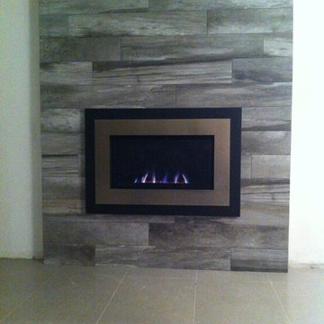 Fireplace Insert