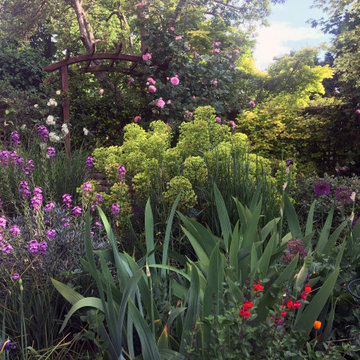 Flower-filled garden in Ealing