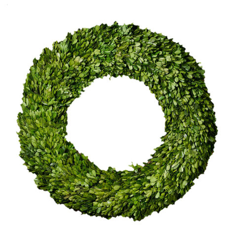 Preserved Boxwood Wreath and Garland, 24" Boxwood Wreath