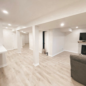 Basement Renovation - Project Primont