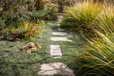 Modelo de jardín contemporáneo en patio delantero