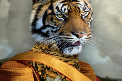 portrait militaire - Le tigre