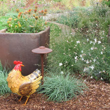 create a water wise yard