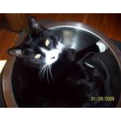 Diane Lupo's photo