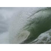 Beaner Surelines foto