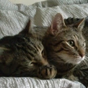 Foto von Ellen Weng