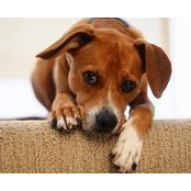 David Ptak's photo