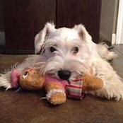 Marvin Mohler's photo