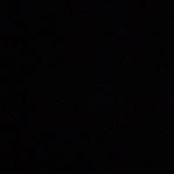 Dan Comins's photo