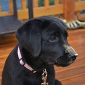 Chrystal Vienneau's photo