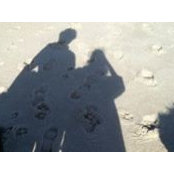 Joseph Forsthoffer's photo