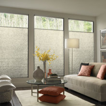 blinds