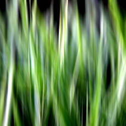 West Coast Green - Artwork