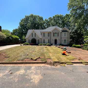Redesign and renovation - Front yard