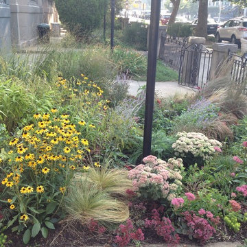 Crown Heights Gardens