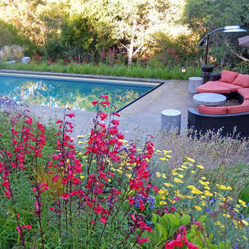 Mill Valley Hillside Garden