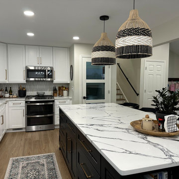 Main Level Renovations