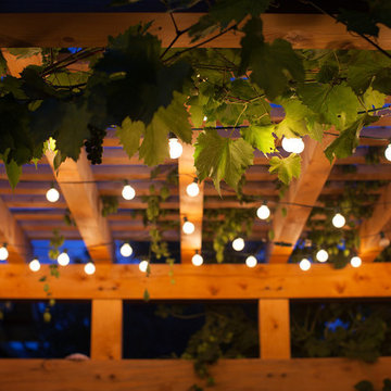 Smith Pergola