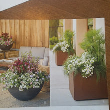 2020 landscaping