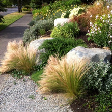 front landscape