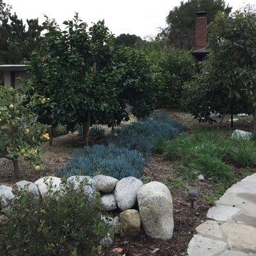 Claremont Homes