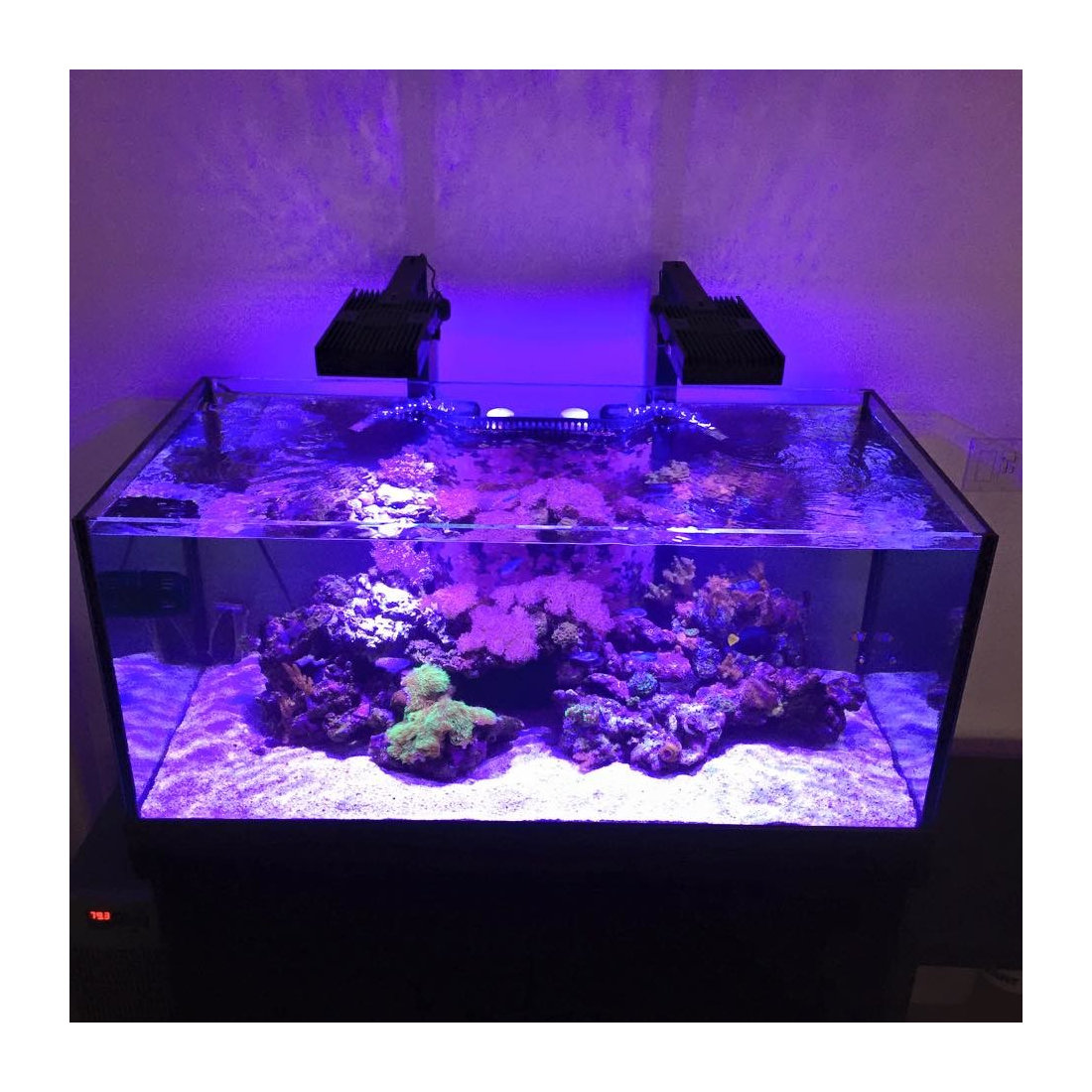 DSA Rimless Aquarium