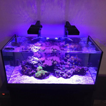 DSA Rimless Aquarium