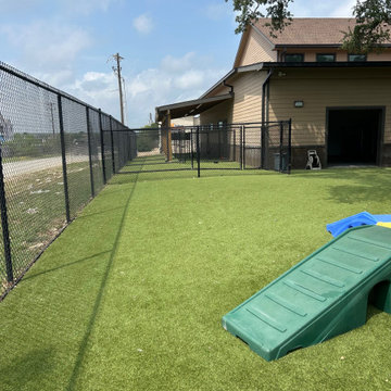 Doggie Day Care