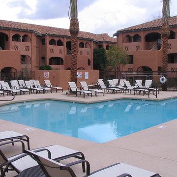 Custom Pools, Stream, Water Feature