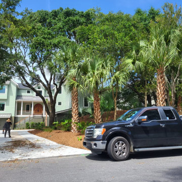 Coastal Landscape Maintenance and Tree Care
