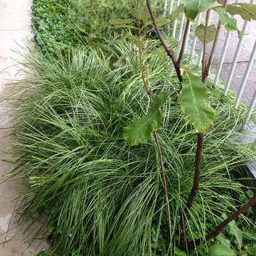 STANMORE GARDEN