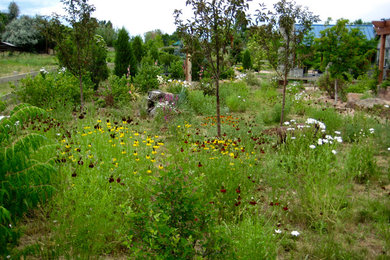 Photo of a rustic landscaping in Denver.