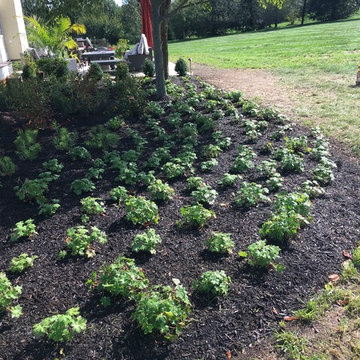 New Hope Deck, Patio and Planting Install