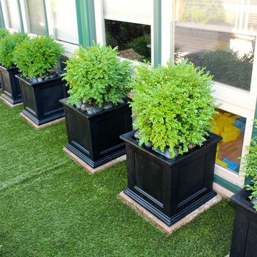 Boxwood Shrubs & Resin Planters + Hardscape