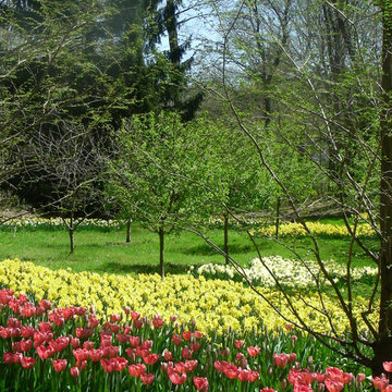 Woodland Garden