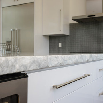 Contemporary Beach Project