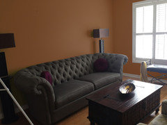 Paint for walls in living room